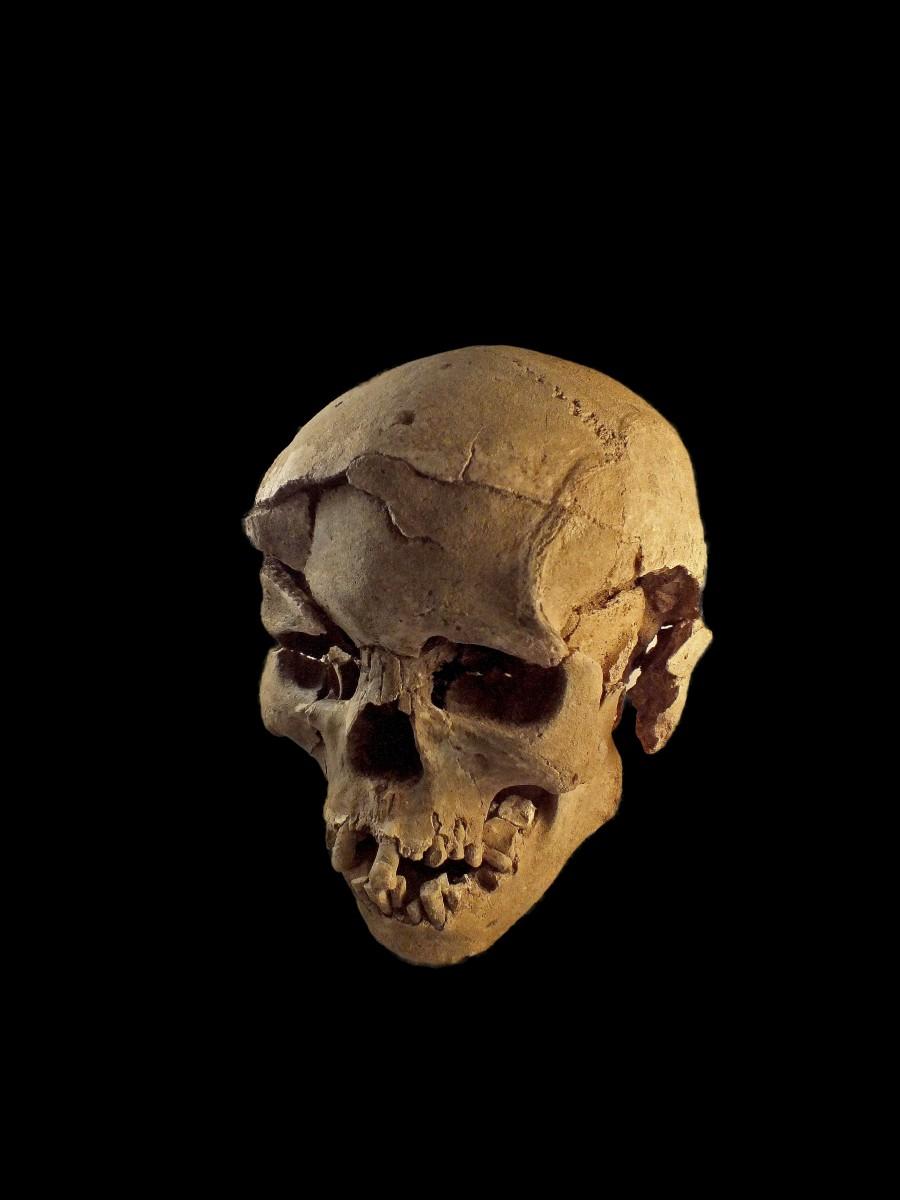 Scientists have found grisly evidence of a massacre in Kenya about 10,000 years ago. Robert Burns,massacre in Kenya,massacre,Prehistoric massacre in Kenya,Prehistoric massacre,fossils,oldest evidence,skeleton,oldest skeleton,human skeleton,human skull