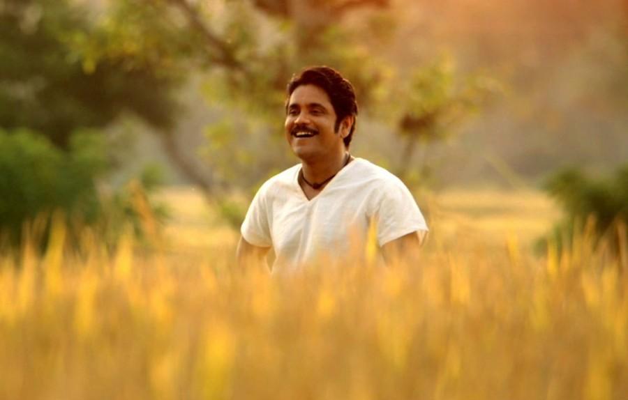 King Akkineni Nagarjuna's successful tryst with 'Pancha Kattu' from Janaki Ramudu to Soggade Chinni Nayana. Nagarjuna,Eduruleni Manishi,Soggade Chinni Nayana,Soggade Chinni Nayana sucess,Pancha Kattu,Nagarjuna's Pancha Kattu,Janaki Ramudu,President Gari Pellam,Allari Alludu,Seetha Rama Raju,Yeduru Leni Manishi,Annamayya,Sri Rama Dasu,Rajanna,Manam,Akkineni