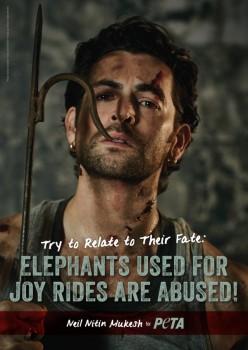 Actor Neil Nitin Mukesh has drawn attention towards the plight of abused elephants, which are used for tourist joyrides.