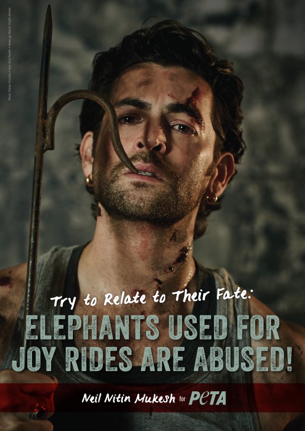 Actor Neil Nitin Mukesh has drawn attention towards the plight of abused elephants, which are used for tourist joyrides. Neil Nitin Mukesh,Neil Nitin Mukesh peta,PETA,Neil Nitin Mukesh Peta campaign,Elephants Used for Joy Rides Are Abused,Elephants