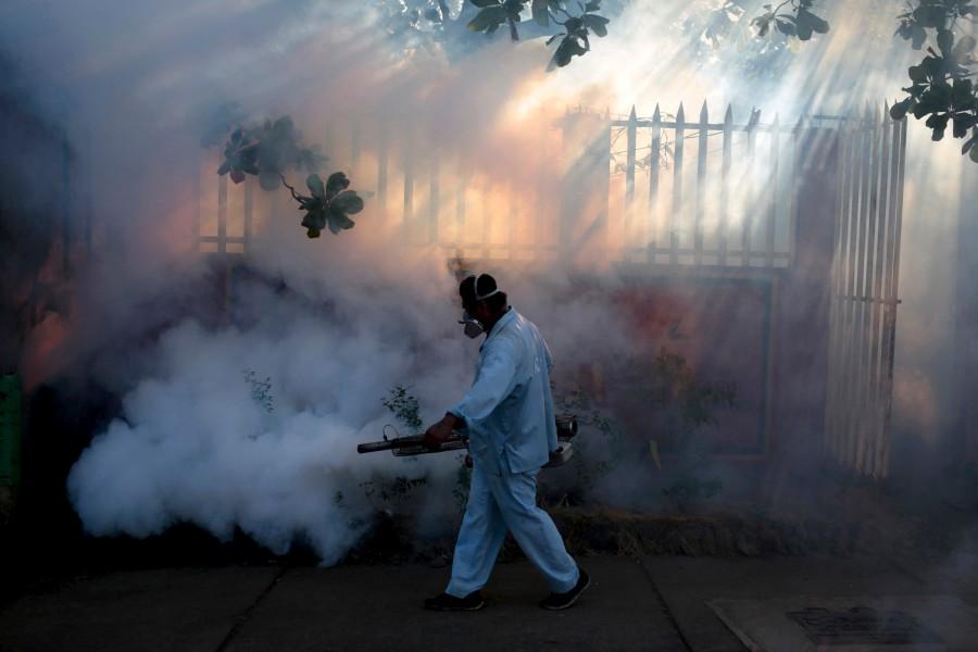 The mosquito-borne Zika virus, which is suspected of causing brain damage to babies in Brazil, is expected to spread to all countries in the Americas except for Canada and Chile, according to the WHO. Fighting against Zika virus,Zika virus,mosquito-borne Zika virus,brain damage,Amid Zika Virus Fears,Amid Zika Virus,Zika Virus Fears,Zika virus abnormal infants,dengue,chikungunya,Zika virus in Managua