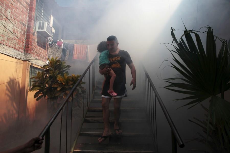 The mosquito-borne Zika virus, which is suspected of causing brain damage to babies in Brazil, is expected to spread to all countries in the Americas except for Canada and Chile, according to the WHO. Fighting against Zika virus,Zika virus,mosquito-borne Zika virus,brain damage,Amid Zika Virus Fears,Amid Zika Virus,Zika Virus Fears,Zika virus abnormal infants,dengue,chikungunya,Zika virus in Managua