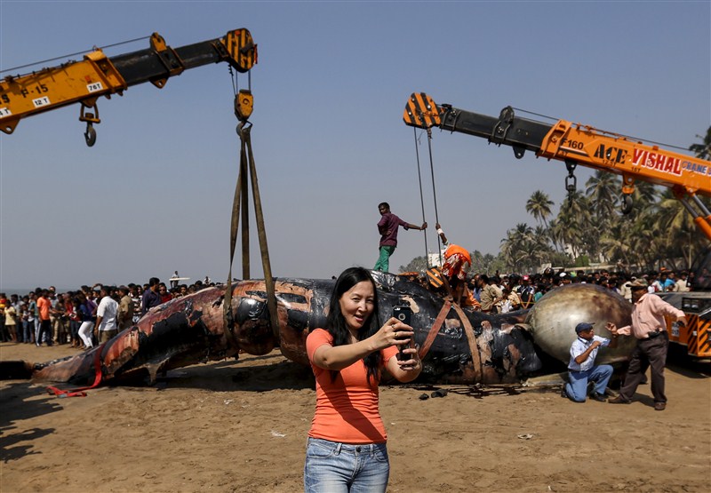 People gather around the carcass of a dead whale on a beach along the Arabian Sea in Mumbai. Gigantic Bryde's whale,dead whale washed ashore,dead whale in juhu beach,bryde whale dead in mumbai,dead whale in maharashtra,dead whale,Gigantic whale