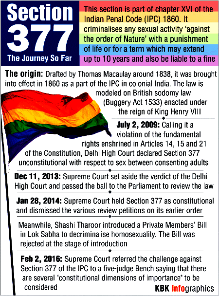 All you need to know about Section 377 Section 377,section 377 curative petition
