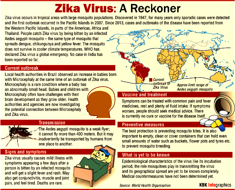 All you need to know about Zika virus Zika virus,Zika outbreak,Zika Brazil