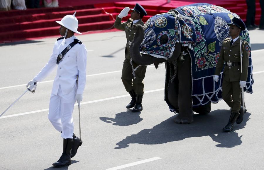 Sri Lanka's Independence Day is celebrated on 4 February every year and 2016 marks its 68th anniversary. Sri Lanka's 68th Independence Day,68th Independence Day Celebrations,Sri Lanka's Independence Day Celebrations,Sri Lanka's Independence Day Celebrations pics,Sri Lanka's Independence Day,Sri Lanka's Independence Day Celebrations i