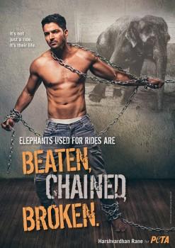 Actor Harshvardhan Rane, who has ventured into Bollywood with 