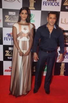 Photos of Lux Zee Cine awards.
