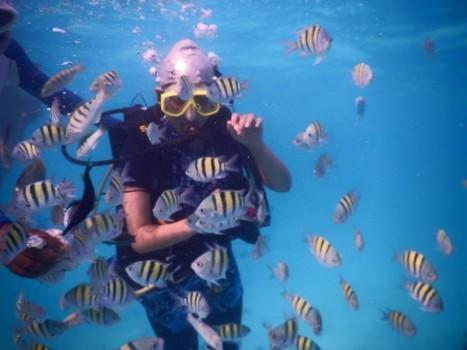 Mia George Goes Scuba Diving in Lakshadweep