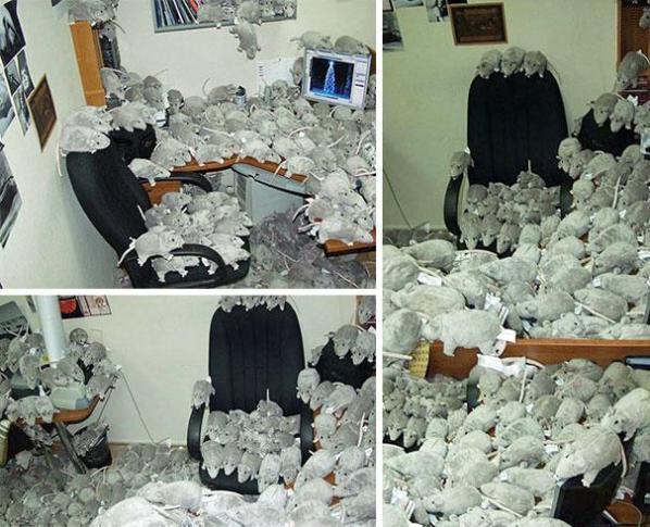 Ideas To Fool Your Friends on April Fools' Day April’s Fool Day,1 April,Pranks,April Fools Pranks,april fool ideas,April Fool messages,funny jokes,photos,April Fools' Day
