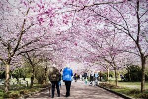 Top 10 Happiest places on the Earth,Happiest places on the Earth,places to visit,world Happiest place,Happiest place,weekend places,places to see,place to see,world's top 10 happiest countries,Happiest places