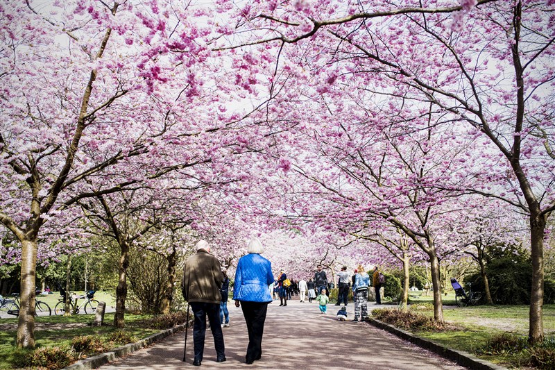 The world's top 10 happiest countries, according to the World Happiness Report, which evaluates social and economic well-being. Top 10 Happiest places on the Earth,Happiest places on the Earth,places to visit,world Happiest place,Happiest place,weekend places,places to see,place to see,world's top 10 happiest countries,Happiest places