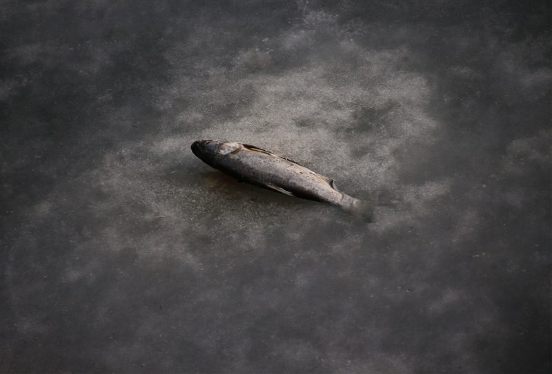 China's water supplies have degraded to the extent that half the nation's rivers and lakes are severely polluted. World Water Day,Water Day,World Water Day 2016,Water Day 2016,polluted waters,water polluted,rivers and lakes