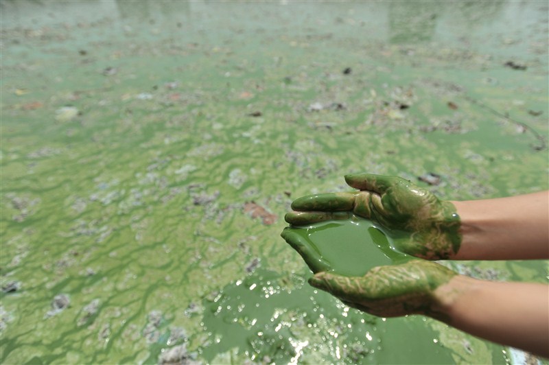 China's water supplies have degraded to the extent that half the nation's rivers and lakes are severely polluted. World Water Day,Water Day,World Water Day 2016,Water Day 2016,polluted waters,water polluted,rivers and lakes