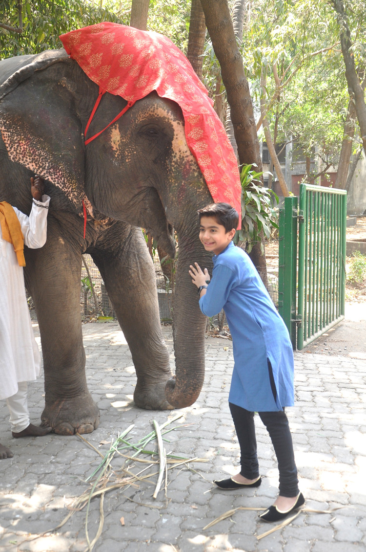 He never had starry dreams, but still found a vestibule to showbiz amid the wilderness of an Indian jungle with Neel Sethi,The Jungle Book,The Jungle Book star Neel Sethi,Indian jungle,Disney's adventure fantasy film,actor Neel Sethi,Neel Sethi pics,Neel Sethi images,Neel Sethi stills,Neel Sethi pictures