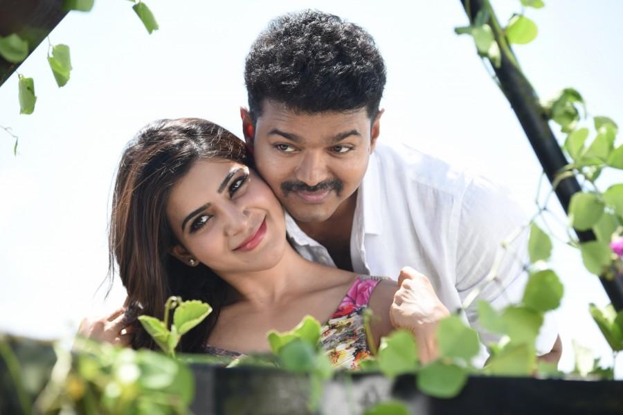 Theri is an upcoming Tamil action film written and directed by Atlee. Starring Vijay, Samantha and Amy Jackson in the lead role. Theri,vijay,ilayathalapathy vijay,ilayathalapathy,Samantha,Amy Jackson,Atlee,Theri movie stills,Theri movie pics,Theri movie images,Theri movie photos,Theri working stills,Theri working images,Theri working photos,Theri working pictures,vijay Theri movie