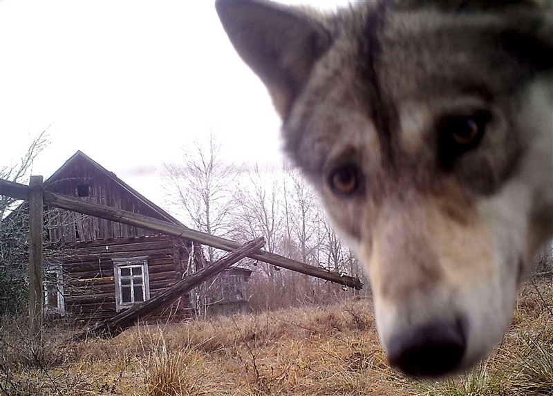 Our top photos from the past week (8th April to 16 April 2016). Pictures of the Week,Top Pictures of the Week,Pic of the day,Image of the day,top photos,top pics,top images,top stills,top pictures