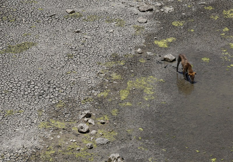 About 330 million people, almost a quarter of the country's population, are hit by India's worst drought in four decades. India's worst drought,India's worst drought in decades,population,drought in four decades,drought,heat wave,heat wave in India,heat wave death