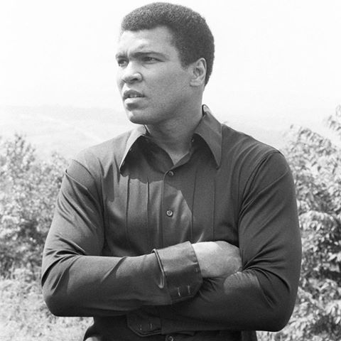 Former world heavyweight boxing champion Muhammad Ali has died at the age of 74. Muhammad Ali,muhammad ali dead,Muhammad Ali dies,Muhammad Ali died,Muhammad Ali passes away,boxing champion Muhammad Ali,Former world heavyweight boxing champion Muhammad Ali,heavyweight boxing champion Muhammad Ali,Muhammad Ali pics,Muhammad Ali images,M