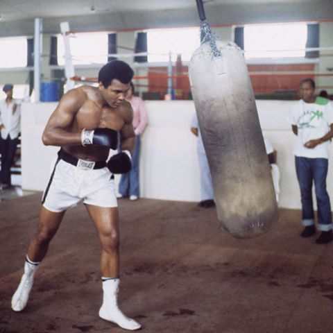 Former world heavyweight boxing champion Muhammad Ali has died at the age of 74. Muhammad Ali,muhammad ali dead,Muhammad Ali dies,Muhammad Ali died,Muhammad Ali passes away,boxing champion Muhammad Ali,Former world heavyweight boxing champion Muhammad Ali,heavyweight boxing champion Muhammad Ali,Muhammad Ali pics,Muhammad Ali images,M