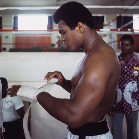 Former world heavyweight boxing champion Muhammad Ali has died at the age of 74. Muhammad Ali,muhammad ali dead,Muhammad Ali dies,Muhammad Ali died,Muhammad Ali passes away,boxing champion Muhammad Ali,Former world heavyweight boxing champion Muhammad Ali,heavyweight boxing champion Muhammad Ali,Muhammad Ali pics,Muhammad Ali images,M