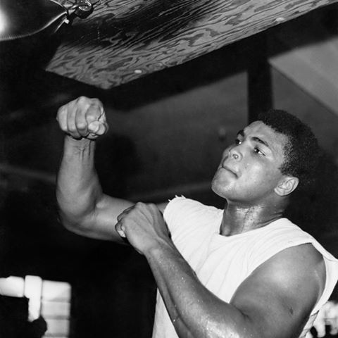 Former world heavyweight boxing champion Muhammad Ali has died at the age of 74. Here are a list of some of his best quotes. Muhammad Ali,Muhammad Ali quotes,Muhammad Ali best quotes,Muhammad Ali ten best quotes,Muhammad Ali Memorable quotes,Muhammad Ali died,Muhammad Ali dead,Muhammad Ali pics,Muhammad Ali rare pics,Muhammad Ali rare images,Muhammad Ali rare photos,Muhammad Al