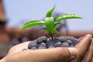 World Environment Day,World Environment Day 2016,World Environment Day quotes,World Environment Day wishes,World Environment Day messages,World Environment Day greetings,Environment Day quotes,World Environment Day slogans,Environment Day quotes photos,En