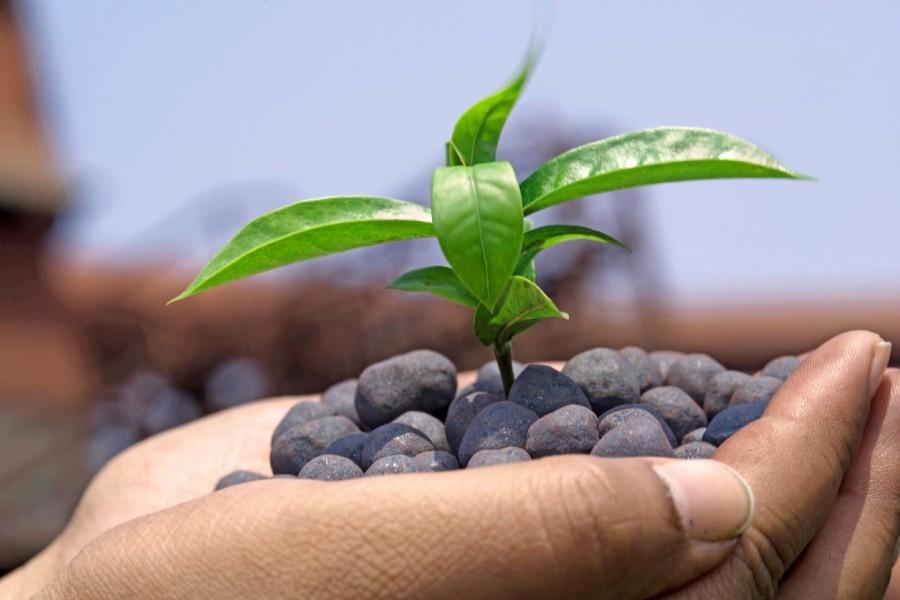 World Environment Day has been started celebrating as an annual event on every 5th of June since 1973 . World Environment Day,World Environment Day 2016,World Environment Day quotes,World Environment Day wishes,World Environment Day messages,World Environment Day greetings,Environment Day quotes,World Environment Day slogans,Environment Day quotes photos,En