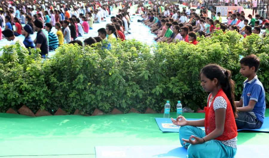 Nearly 30,000 participants from across the city participated in the rehersal for the second International Yoga Day to be attended by Prime Minister Narendra Modi, said an official statement. International Yoga Day,International Yoga Day 2016,International Yoga Day rehearsal,Yoga Day rehearsal,Chandigarh Yoga day rehearsal,Narendra Modi,PM Narendra Modi,modi,International Yoga Day celebrations,International Yoga Day pics,International Yoga Day