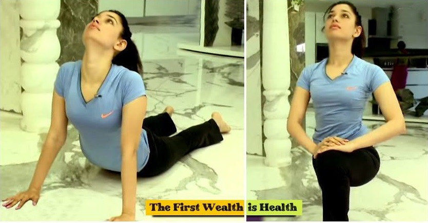 Kajal Aggarwal, Tamannaah, Anushka, Hansika and other south indian celebs doing Yoga. International yoga day,International yoga day 2016,celebs doing Yoga,South indian celebs doing Yoga,Kajal Aggarwal,Tamannaah,Anushka,Hansika,Amy Jackson,Anushka Shetty,Hansika Motwani,Ileana D'Cruz,Lissy,Mallika Sherawat,Shriya Saran
