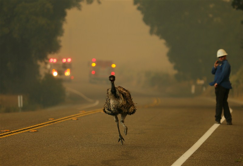 Wildfires spread in California from the coastal foothills outside Santa Barbara to desert brush near the Mexican border, as a heat wave bakes the region in record temperatures. Wildfire ignites in California,Wildfire,Wildfires spread in California,Santa Barbara,heat wave,heat wave in California