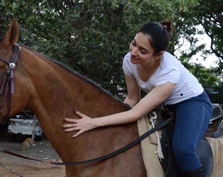 The makers of S.S. Rajamouli's magnum opus Baahubali 2,Baahubali 2 climax,Baahubali 2 shooting,S.S. Rajamouli,Rana Daggubati,prabhas,Tammannaah bhatia,Anushka Shetty,Baahubali 2 shooting pics,Baahubali 2 shooting images,Baahubali 2 shooting photos,Baahubali 2 shooting stills,Baahubali 2 shooting p