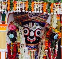 Rath Yatra,Rath Yatra 2016,Rath Yatra celebration pictures,Rath Yatra celebration photos,Rath Yatra celebration stills,Rath Yatra celebration picture,Rath Yatra celebration,Rath Yatra 2016 celebration,Amarnath Yatra