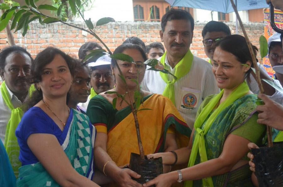 Celebs like Nagarjuna, Amala, Akhil Akkineni plant saplings as part of Haritha Haram campaign. Haritha Haram,Haritha Haram campaign,Nagarjuna,Amala,Akhil Akkineni,Haritha Haram campaign pics,Haritha Haram campaign images,Haritha Haram campaign photos,Haritha Haram campaign stills,Haritha Haram campaign pictures