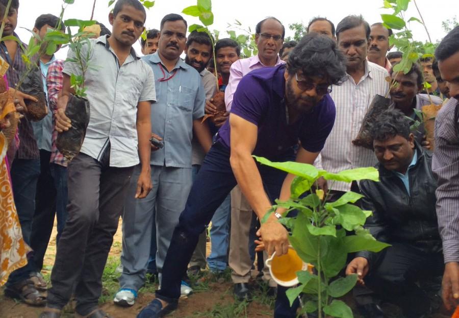 Celebs like Nagarjuna, Amala, Akhil Akkineni plant saplings as part of Haritha Haram campaign. Haritha Haram,Haritha Haram campaign,Nagarjuna,Amala,Akhil Akkineni,Haritha Haram campaign pics,Haritha Haram campaign images,Haritha Haram campaign photos,Haritha Haram campaign stills,Haritha Haram campaign pictures