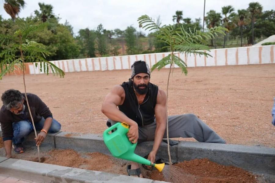Actor Prabhas, Rana Daggubati, SS Rajamouli participated in the Telangana government's Haritha Haram campaign and planted saplings in Ramoji Film City. Prabhas,Rana Daggubati,Rajamouli,Haritha Haram campaign,Haritha Haram,Prabhas at Haritha Haram campaign,Rana Daggubati at Haritha Haram campaign,Haritha Haram campaign pics,Haritha Haram campaign images,Haritha Haram campaign photos,Haritha Haram campaign