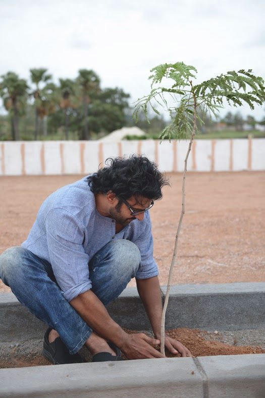 Actor Prabhas, Rana Daggubati, SS Rajamouli participated in the Telangana government's Haritha Haram campaign and planted saplings in Ramoji Film City. Prabhas,Rana Daggubati,Rajamouli,Haritha Haram campaign,Haritha Haram,Prabhas at Haritha Haram campaign,Rana Daggubati at Haritha Haram campaign,Haritha Haram campaign pics,Haritha Haram campaign images,Haritha Haram campaign photos,Haritha Haram campaign