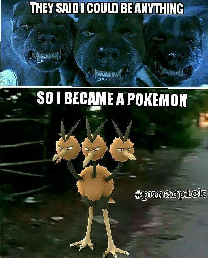 Pokémon Go meme