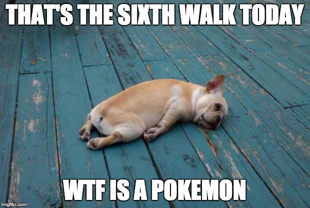 The newly-launched famous Augmented Reality (AR) game Pokemon Go has overtaken Twitter in terms of daily users and has seen people spending more time on its app than on Facebook. Pokemon Go,Pokemon Go memes,Pokemon Go funny memes,Pokemon Go funny memes go viral,Pokemon Go India,Pokemon Go meme,Pokemon Go app,Pokemon Go mems pics