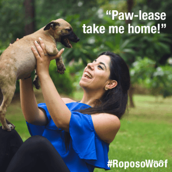 Fashion and lifestyle social network Roposo has partnered with NGO Friendicoes SECA (Society for the Eradication of Cruelty to Animals) to spread awareness about pet adoption. They are encouraging more animal lovers to offer shelter and love to dogs.