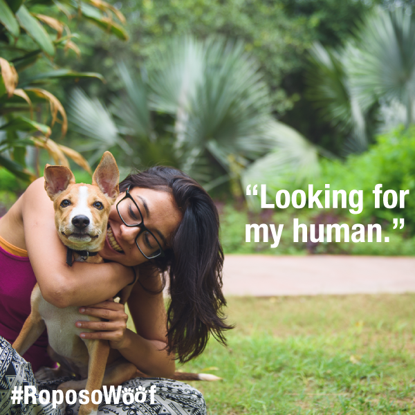Fashion and lifestyle social network Roposo has partnered with NGO Friendicoes SECA (Society for the Eradication of Cruelty to Animals) to spread awareness about pet adoption. They are encouraging more animal lovers to offer shelter and love to dogs. Roposo,NGO Friendicoes SECA,Society for the Eradication of Cruelty to Animals,SECA,PETA,dog rights,Thangaraj