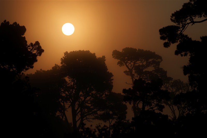 Firefighters battle the Soberanes Fire in northern California. Big Sur burning,California's Big Sur burning,Firefighters battle,Soberanes Fire,Soberanes Fire in northern California,Soberanes Fire in California