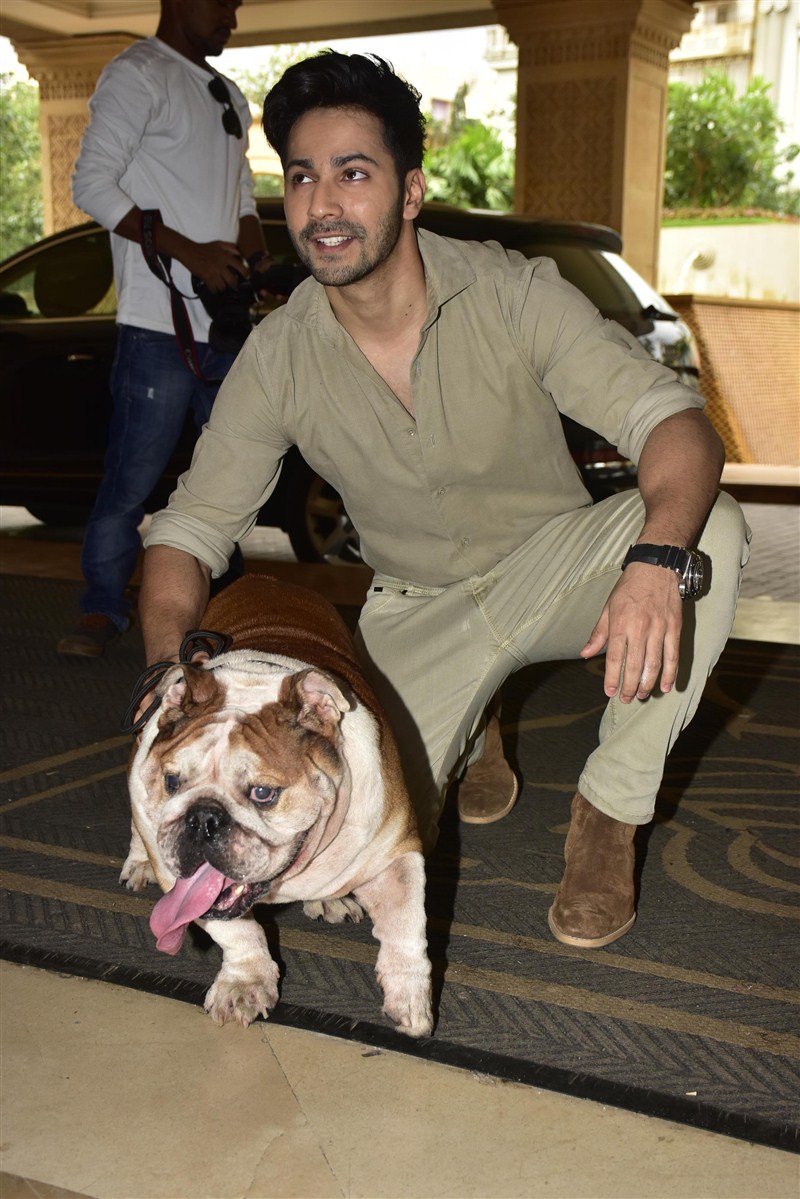 Producer Sajid Nadiadwala along with Nandu Ahuja from Eros International, Director Rohit Dhawan and the lead cast of Dishoom John Abraham and Varun Dhawan celebrated the film's success with media folks yesterday, at a Suburban hotel. The team was also joined in by a member of the cast, who was none other that the adorable dog, Bradman. Dishoom success meet,Dishoom success pressmeet,Dishoom celebration,John Abraham,Varun Dhawan,Dishoom success meet pics,Dishoom success meet images,Dishoom success meet photos,Dishoom success meet stills,Dishoom success meet pictures