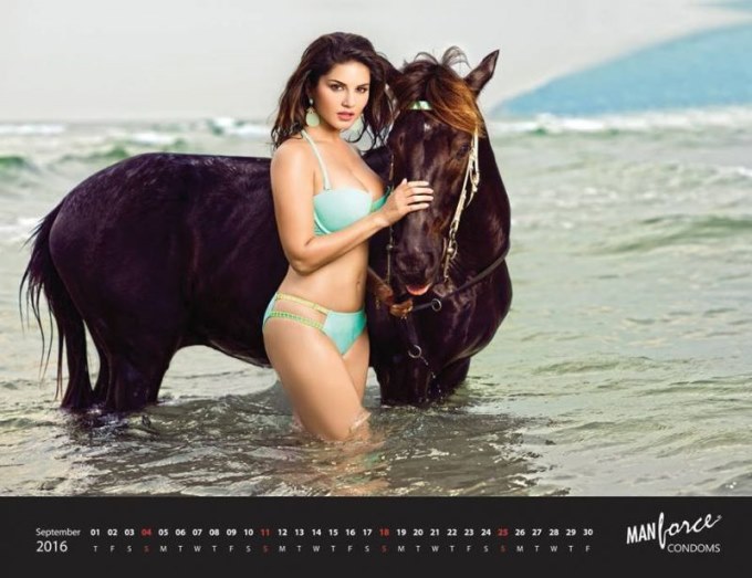 Bollywood actress Sunny Leone photoshoot for Manforce 2016 Calendar by Dabboo Ratnani. Sunny Leone,Sunny Leone photoshoot,Sunny Leone photoshoot Manforce 2016 Calendar,Manforce 2016 Calendar,Sunny leone hot photoshoot,Hot Sunny Leone,Sunny Leone hot pics,Sunny Leone hot images,Sunny Leone hot photos,Sunny Leone hot pictures