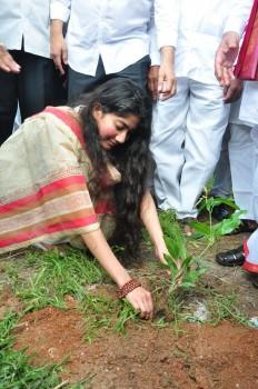 Celebs like Varun Tej, Sai Pallavi, Dil Raju, Nagababu Garu, Pocharam Srinivas, Sekhar Kammula join Haritha Haram campaign during Fidaa movie launch.