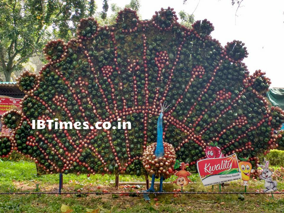 Independence Day 2016: Every year on Independence Day and Republic day, flower shows are organized at the Lalbagh Botanical Garden in Bangalore. Independence Day 2016,Independence Day,Independence Day special,70th Independence Day,Lalbagh Flower Show,Lalbagh Flower Show 2016,Lalbagh Flower Show pics,Lalbagh Flower Show images,Lalbagh Flower Show photos,Lalbagh Flower Show stills,Lalbagh Flower Sho