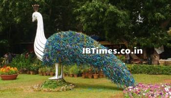 Independence Day 2016,Independence Day,Independence Day special,70th Independence Day,Lalbagh Flower Show,Lalbagh Flower Show 2016,Lalbagh Flower Show pics,Lalbagh Flower Show images,Lalbagh Flower Show photos,Lalbagh Flower Show stills,Lalbagh Flower Sho