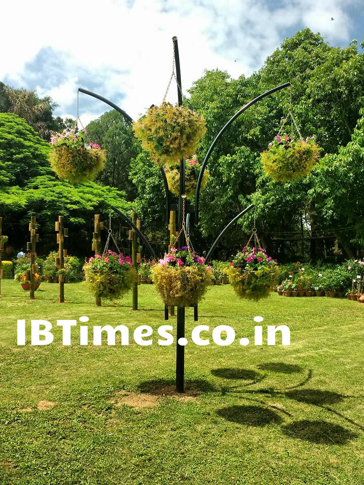 Independence Day 2016: Every year on Independence Day and Republic day, flower shows are organized at the Lalbagh Botanical Garden in Bangalore. Independence Day 2016,Independence Day,Independence Day special,70th Independence Day,Lalbagh Flower Show,Lalbagh Flower Show 2016,Lalbagh Flower Show pics,Lalbagh Flower Show images,Lalbagh Flower Show photos,Lalbagh Flower Show stills,Lalbagh Flower Sho