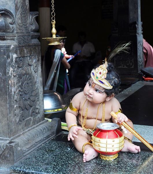 Krishna Janmashtami Celebration. Krishna Janmashtami,Krishna Janmashtami Celebration,Krishna Janmashtami Celebration 2016,Krishna Janmashtami Celebration pics,Krishna Janmashtami Celebration images,Krishna Janmashtami Celebration photos,Krishna Janmashtami Celebration stills,Krishna Janm