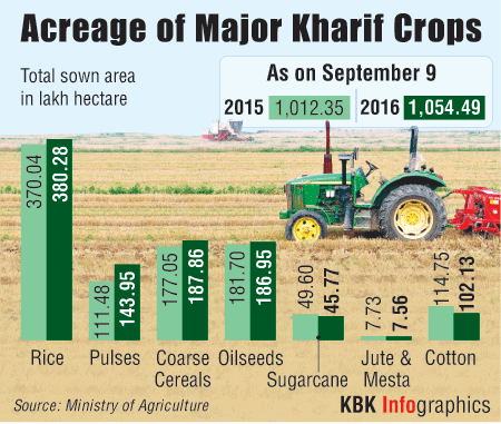 Graphic on Acreage of Major Kharif Crops Kharif crops,Acreage of Major Kharif Crops,Graphic on Acreage of Major Kharif Crops,Major Kharif Crops,Kharif Crops in India